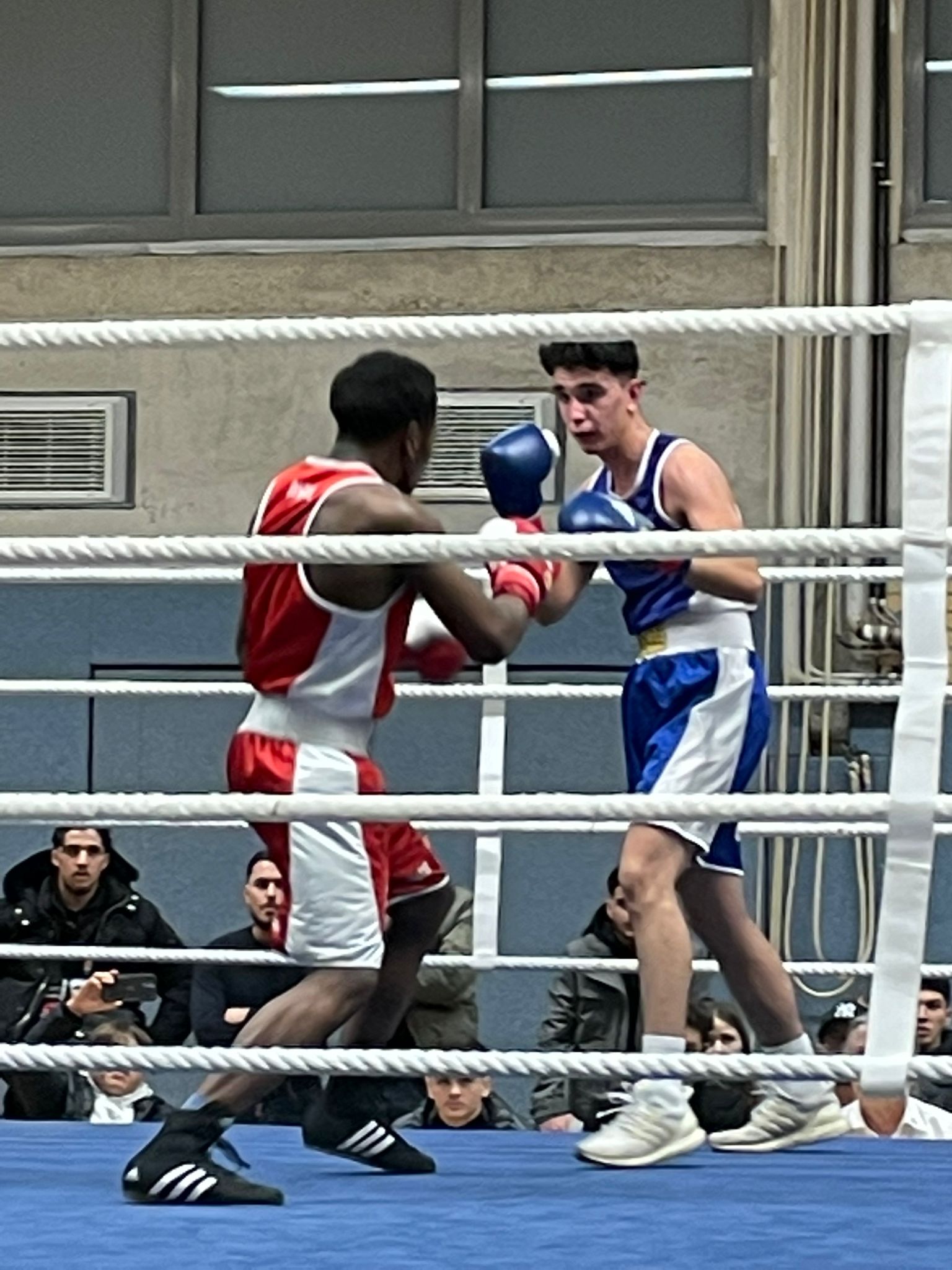 Deutsche Meisterschaft Elite Bezirksmeisterschaft Boxring